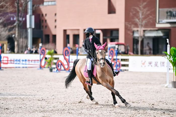 半岛体育官网-联赛专访|吴璨彤:“我愿意永远相信我的战友,永远跟牠们并肩作战”|马术|搭档|教练|比赛|俱乐部联赛_新浪体育_新浪新闻