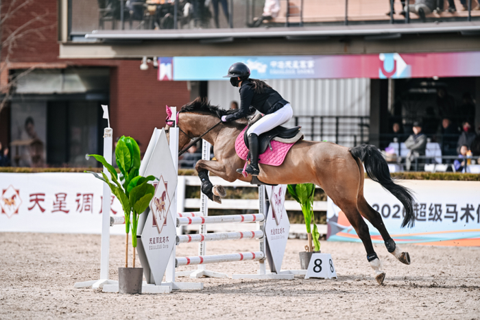 半岛体育官网-联赛专访|吴璨彤:“我愿意永远相信我的战友,永远跟牠们并肩作战”|马术|搭档|教练|比赛|俱乐部联赛_新浪体育_新浪新闻